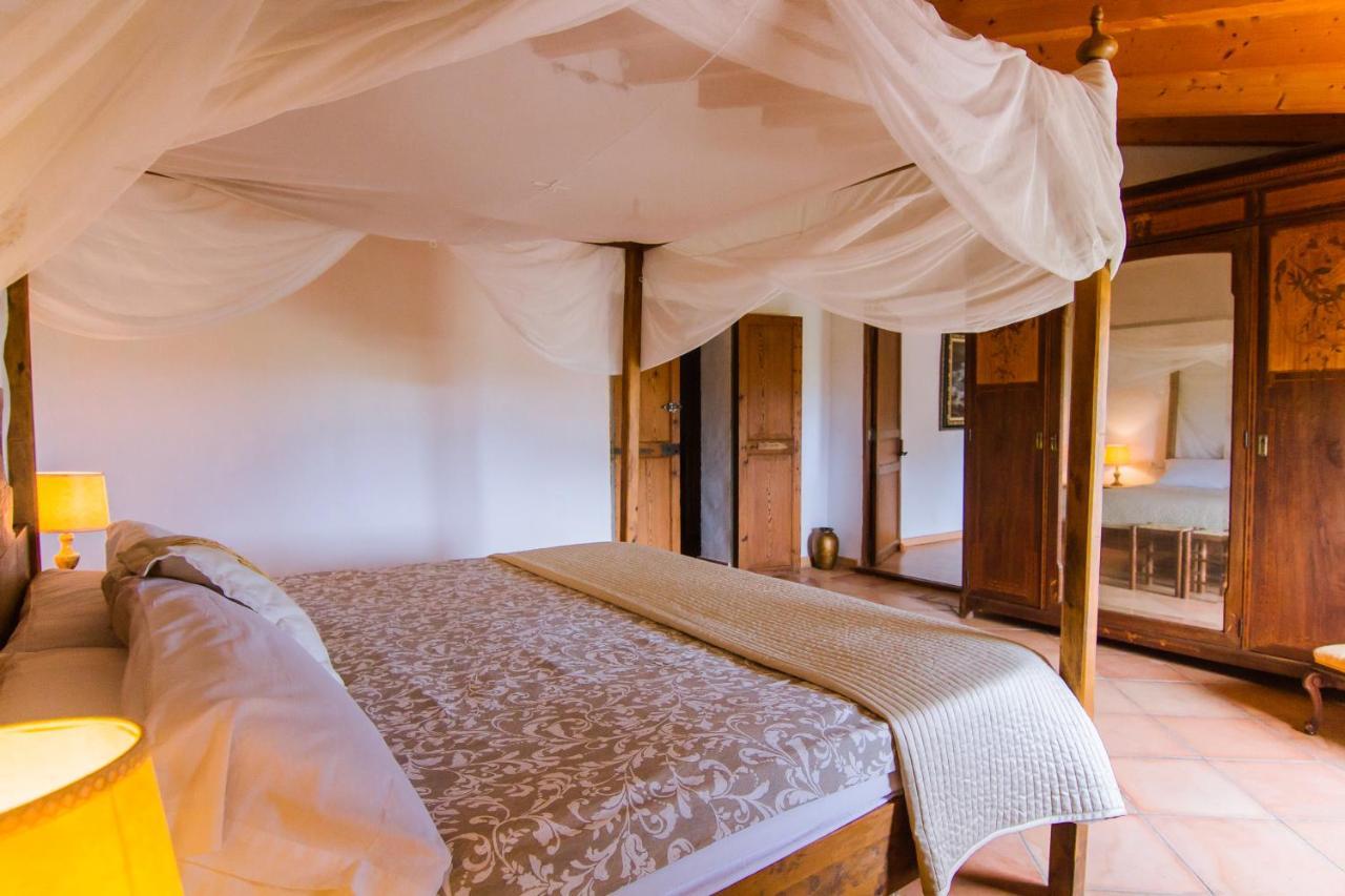 Agroturismo Son Sant Andreu Petra  Exteriér fotografie